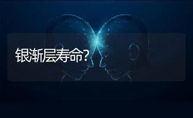 银渐层寿命？ | 动物养殖问答