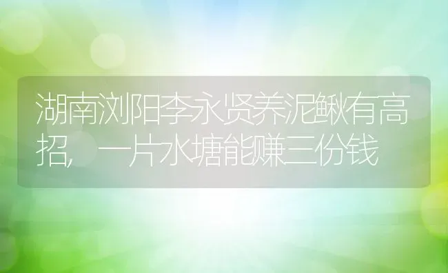 湖南浏阳李永贤养泥鳅有高招,一片水塘能赚三份钱 | 动物养殖百科