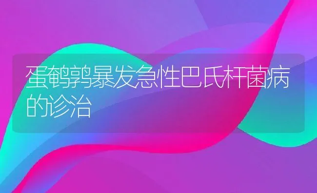 蛋鹌鹑暴发急性巴氏杆菌病的诊治 | 水产养殖知识