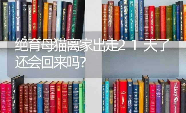 绝育母猫离家出走21天了还会回来吗？ | 动物养殖问答