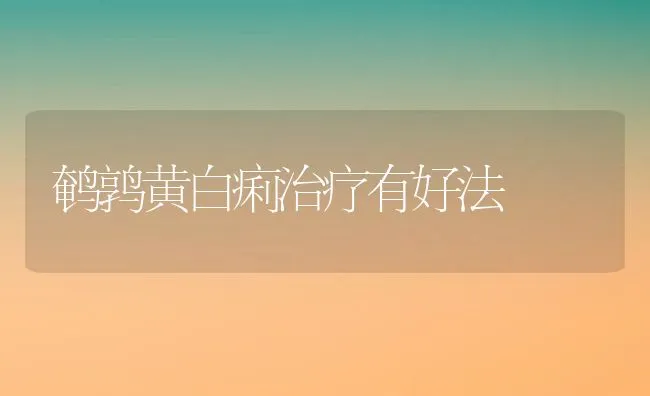 鹌鹑黄白痢治疗有好法 | 水产养殖知识