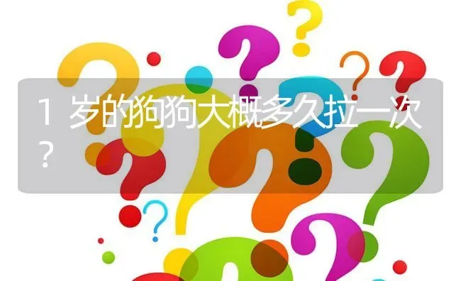 1岁的狗狗大概多久拉一次？ | 动物养殖问答