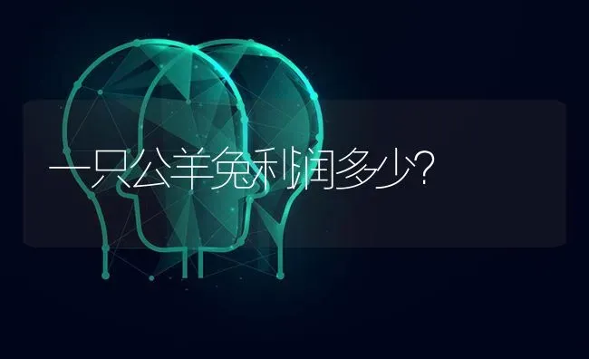 一只公羊兔利润多少？ | 动物养殖问答