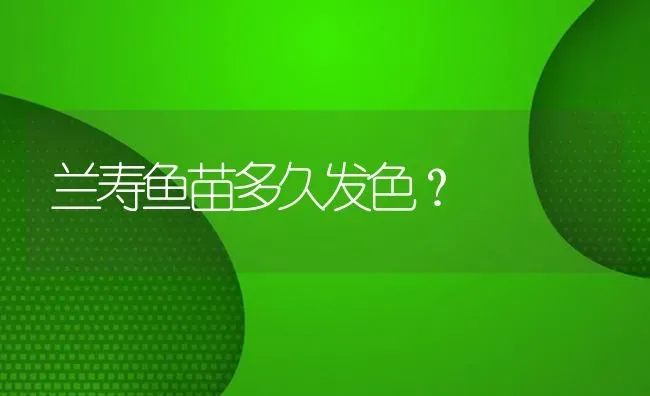 兰寿鱼苗多久发色？ | 鱼类宠物饲养