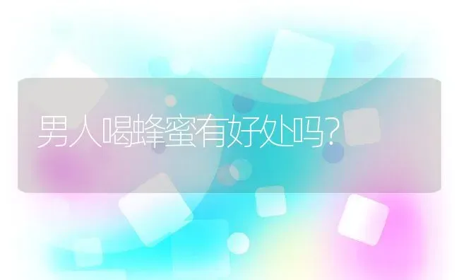 男人喝蜂蜜有好处吗？ | 动物养殖百科