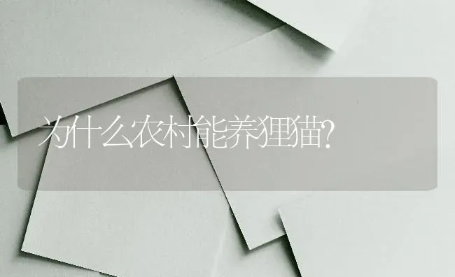 为什么农村能养狸猫？ | 动物养殖问答