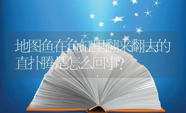 地图鱼在鱼缸里翻来翻去的直扑腾是怎么回事？ | 鱼类宠物饲养