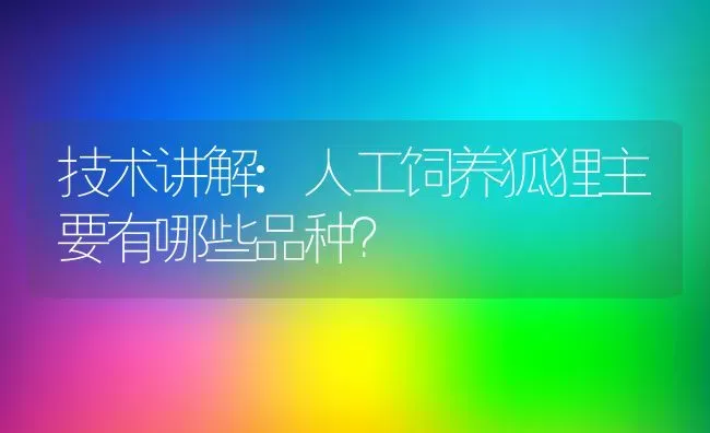 技术讲解:人工饲养狐狸主要有哪些品种？ | 动物养殖百科