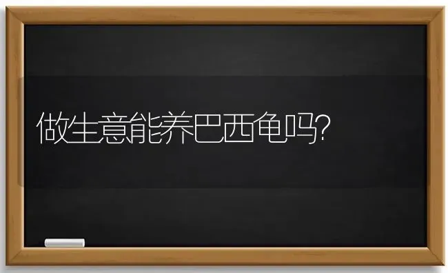 做生意能养巴西龟吗？ | 动物养殖问答