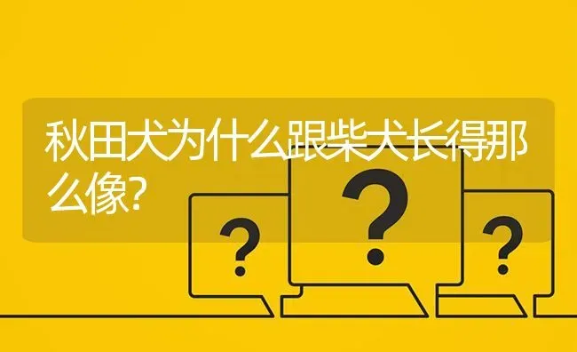 秋田犬为什么跟柴犬长得那么像？ | 动物养殖问答