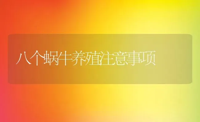 八个蜗牛养殖注意事项 | 特种养殖技术