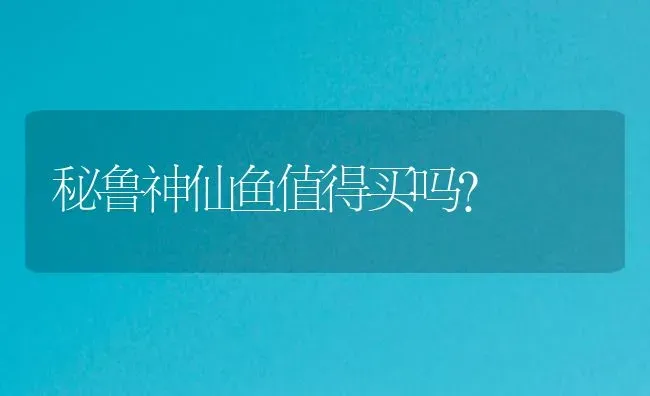 金丝熊怎么训练？ | 动物养殖问答