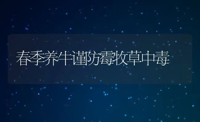 冬季蛋鸡饲养要抓重点 | 动物养殖学堂