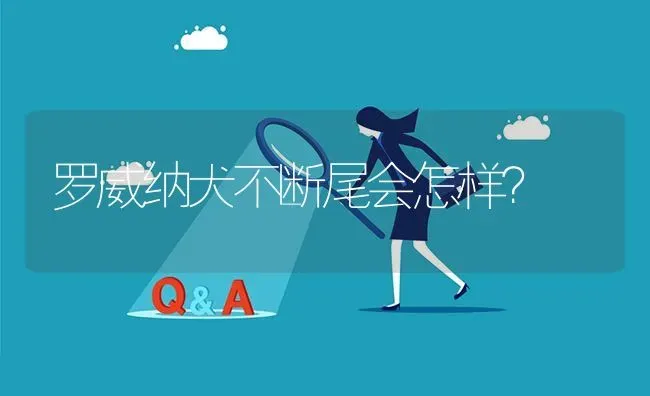 罗威纳犬不断尾会怎样？ | 动物养殖问答