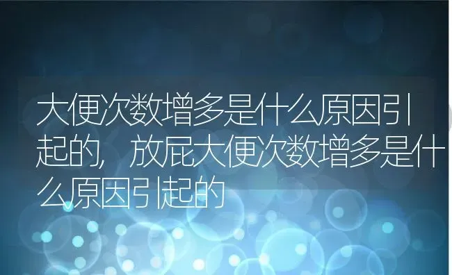 大便次数增多是什么原因引起的,放屁大便次数增多是什么原因引起的 | 宠物百科知识