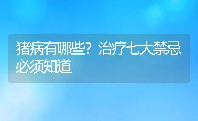 猪病有哪些？治疗七大禁忌必须知道 | 动物养殖教程