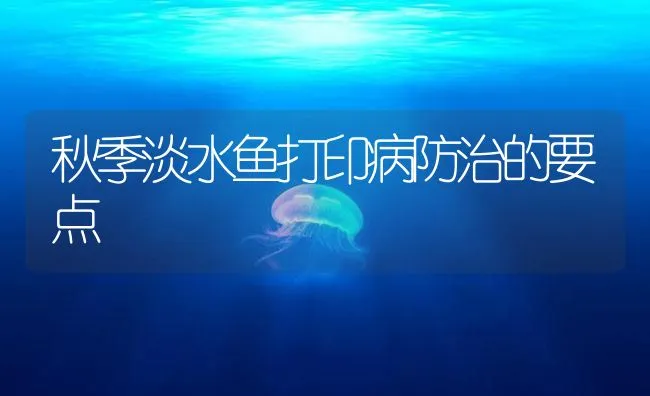 秋季淡水鱼打印病防治的要点 | 海水养殖技术