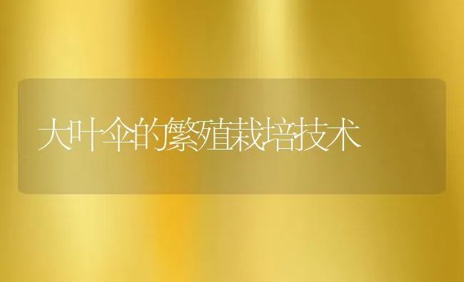 南美白对虾选苗、放苗要点 | 海水养殖技术