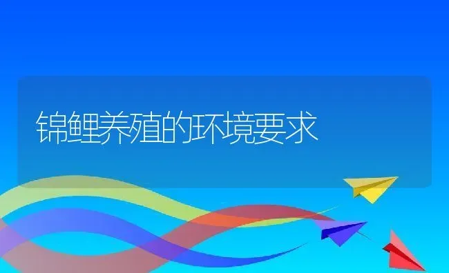 锦鲤养殖的环境要求 | 动物养殖教程