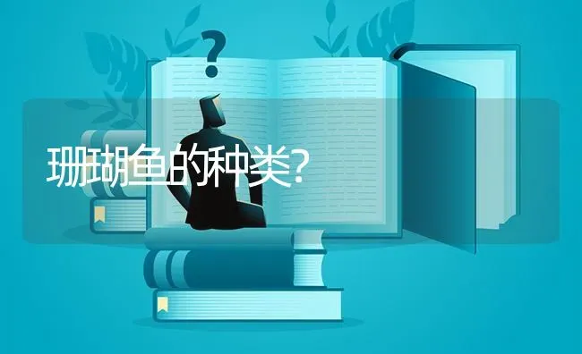 珊瑚鱼的种类？ | 鱼类宠物饲养