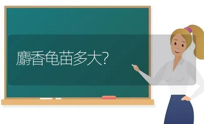 哈士奇在福州算禁养犬吗？ | 动物养殖问答