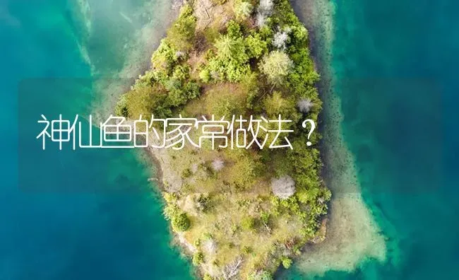 神仙鱼的家常做法？ | 鱼类宠物饲养