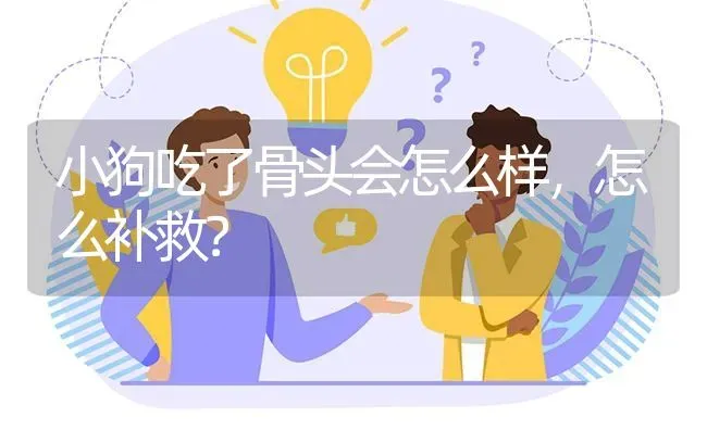 小狗吃了骨头会怎么样，怎么补救？ | 动物养殖问答