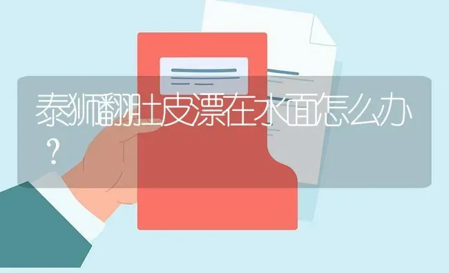 泰狮翻肚皮漂在水面怎么办？ | 鱼类宠物饲养