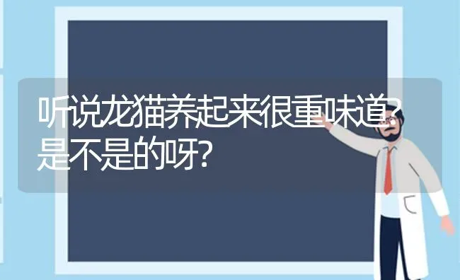 听说龙猫养起来很重味道?是不是的呀？ | 动物养殖问答