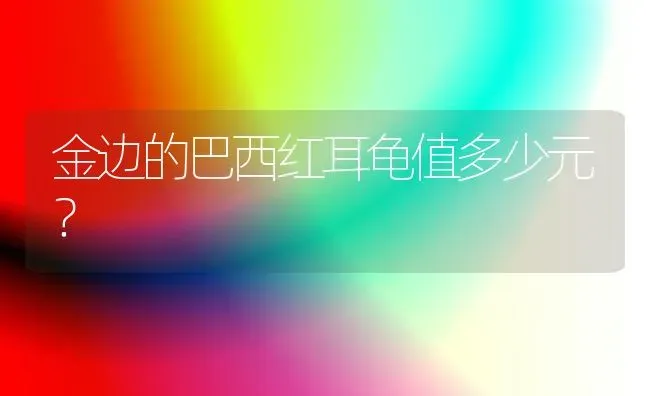 金边的巴西红耳龟值多少元？ | 动物养殖问答