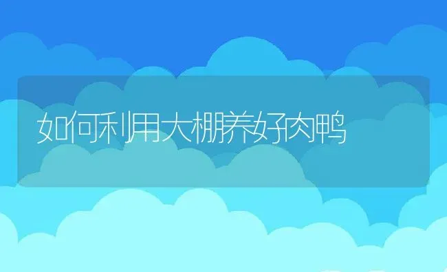 如何利用大棚养好肉鸭 | 动物养殖教程