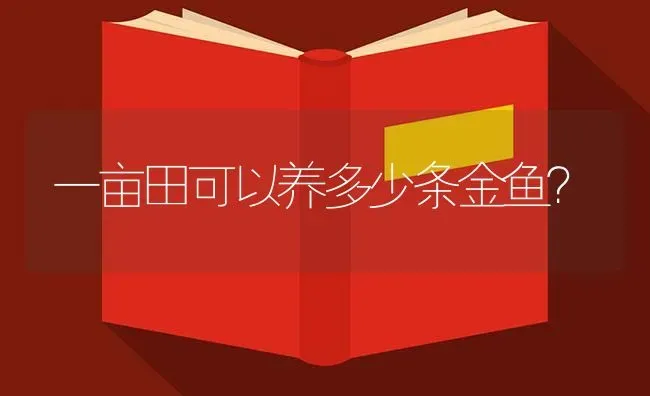 北方家里养孔雀鱼水温最好在多少左右？ | 鱼类宠物饲养