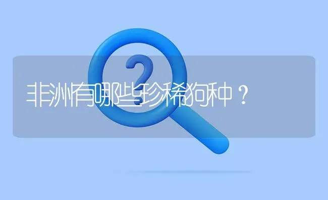 非洲有哪些珍稀狗种？ | 动物养殖问答