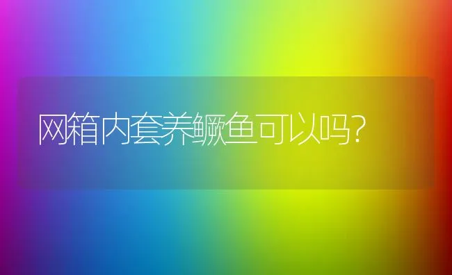 网箱内套养鳜鱼可以吗？ | 动物养殖饲料