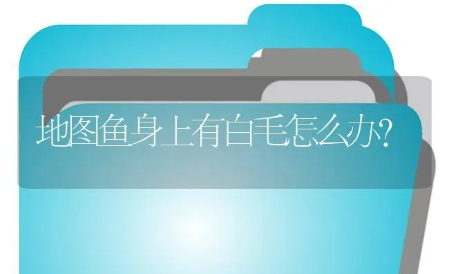 地图鱼身上有白毛怎么办？ | 鱼类宠物饲养