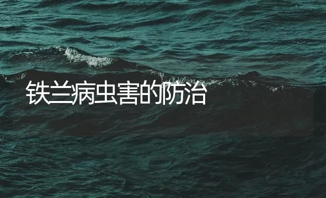 铁兰病虫害的防治 | 海水养殖技术