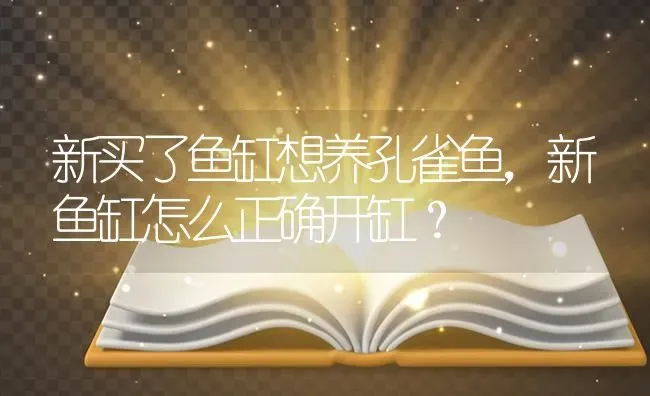 新买了鱼缸想养孔雀鱼，新鱼缸怎么正确开缸？ | 鱼类宠物饲养