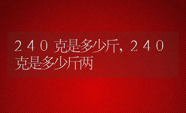 富贵竹的养法,富贵竹的养法养殖方法和注意事项 | 宠物百科知识