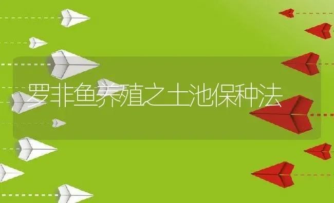 罗非鱼养殖之土池保种法 | 动物养殖教程