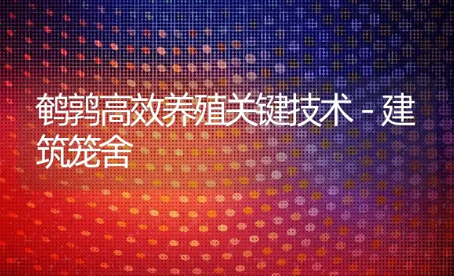 鹌鹑高效养殖关键技术－建筑笼舍 | 动物养殖学堂