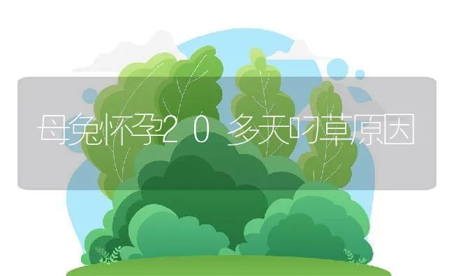 用柴油巧治兔脚癣 | 动物养殖学堂