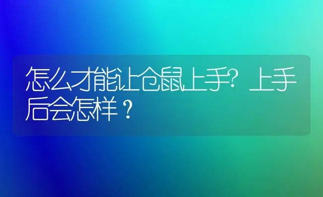 怎么才能让仓鼠上手?上手后会怎样？ | 动物养殖问答