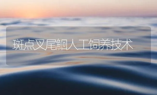 斑点叉尾鮰人工饲养技术 | 海水养殖技术