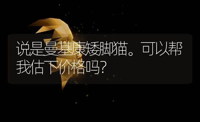 说是曼基康矮脚猫。可以帮我估下价格吗？ | 动物养殖问答