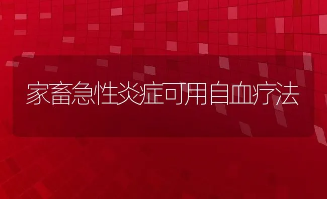 家畜急性炎症可用自血疗法 | 动物养殖学堂