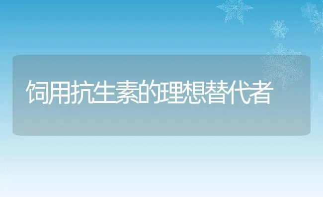 饲用抗生素的理想替代者 | 动物养殖饲料