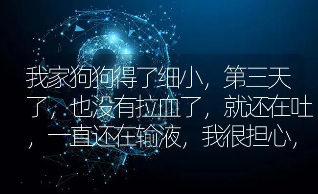 我家狗狗得了细小，第三天了，也没有拉血了，就还在吐，一直还在输液，我很担心，不知道能不能挺过来？ | 动物养殖问答