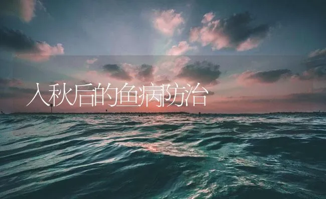 入秋后的鱼病防治 | 海水养殖技术