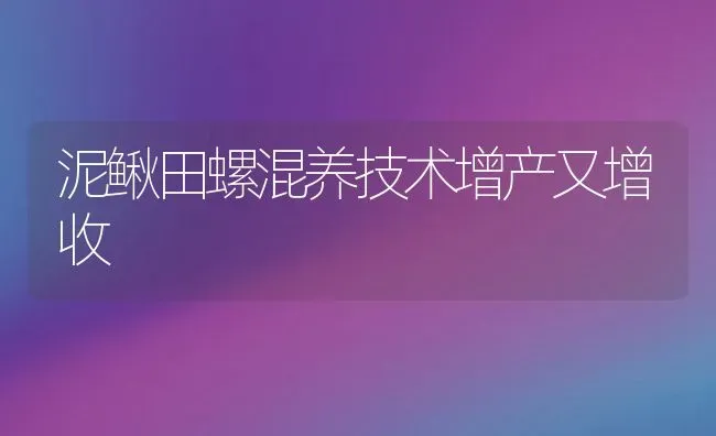 泥鳅田螺混养技术增产又增收 | 动物养殖百科