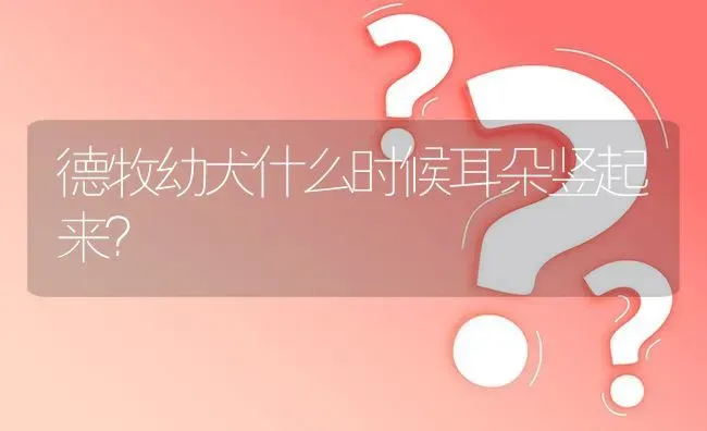 德牧幼犬什么时候耳朵竖起来？ | 动物养殖问答